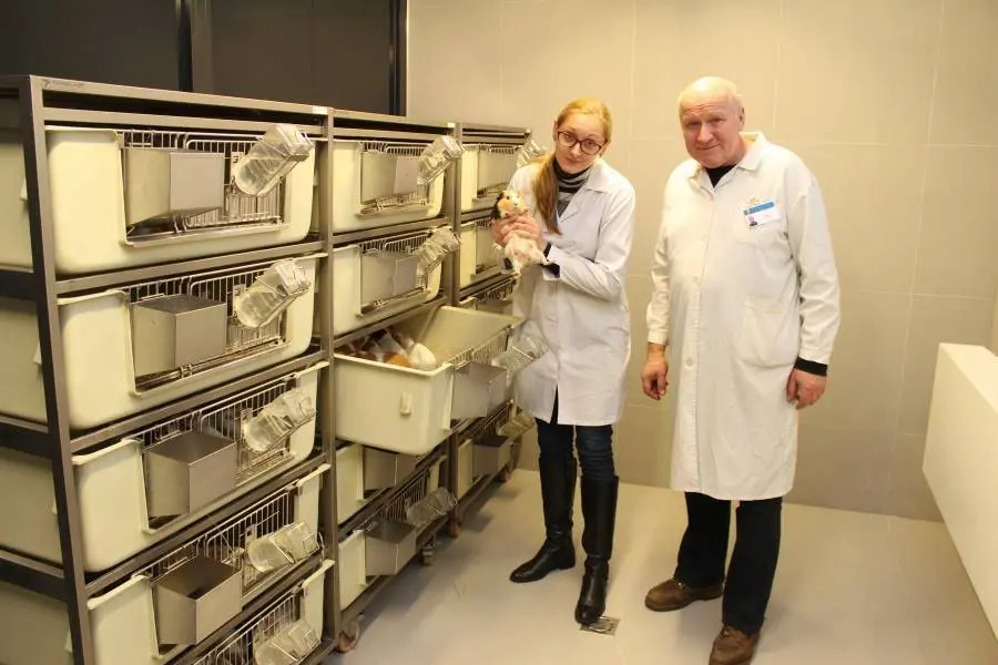 lsmu