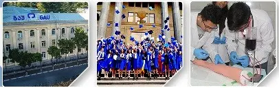 Georgian American University